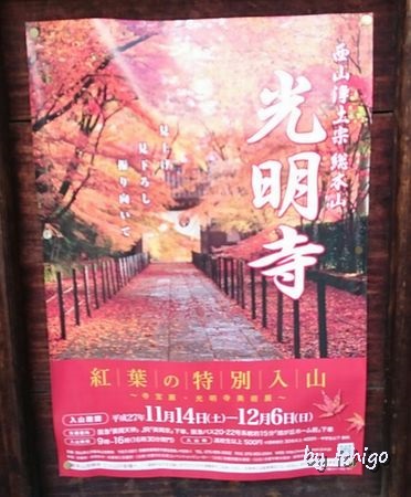 ichigo 11月10日光明寺6r