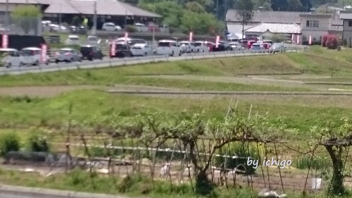 ichigo 窯出し市1