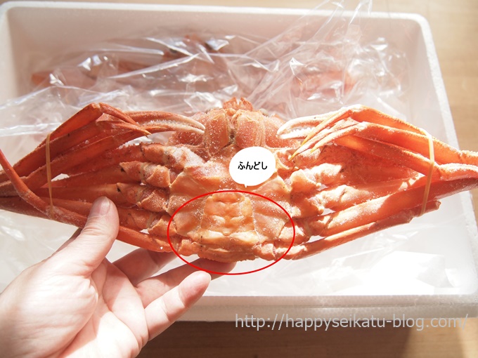 香住産 紅ずわい蟹